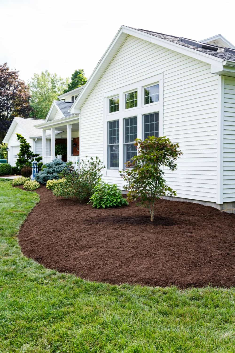 Hero image for Elevate Lawns