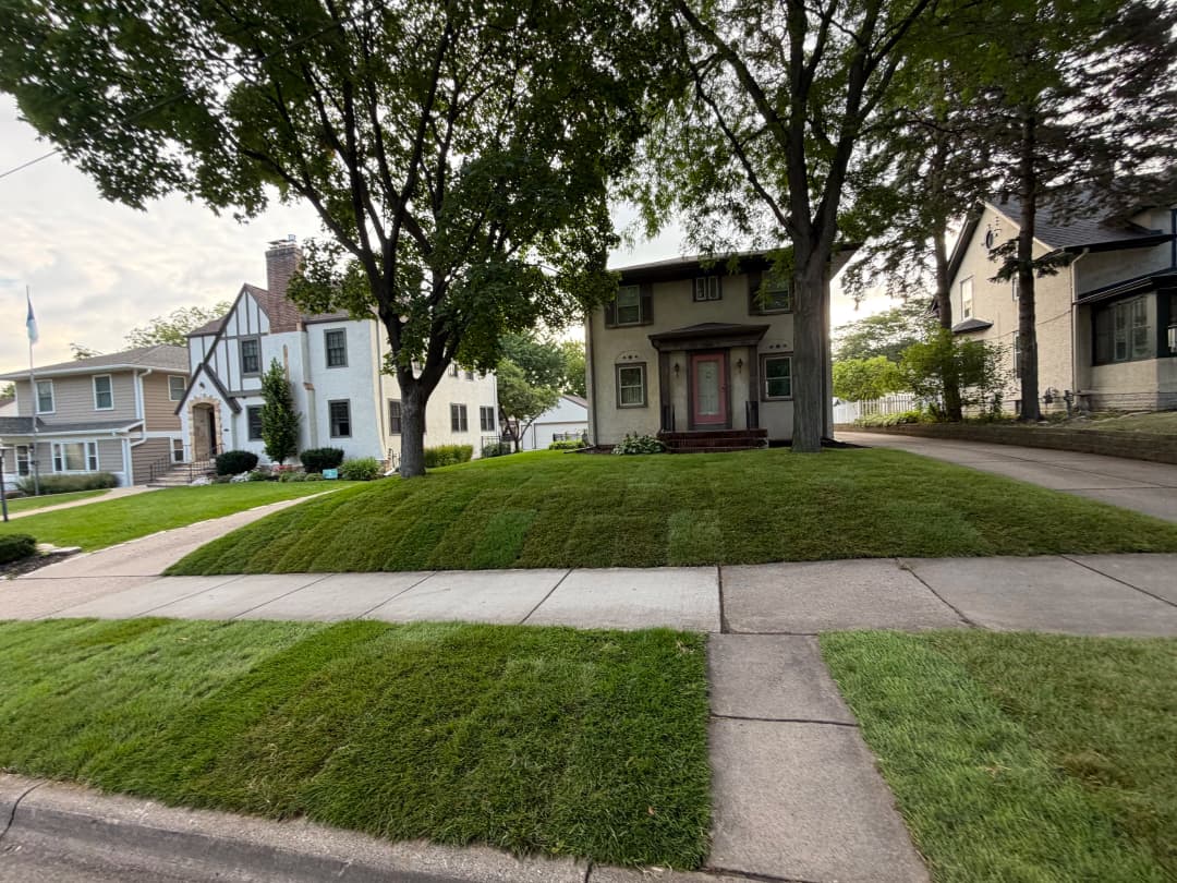 Two houses with landscaped lawns on a quiet suburban street, featuring mature trees.