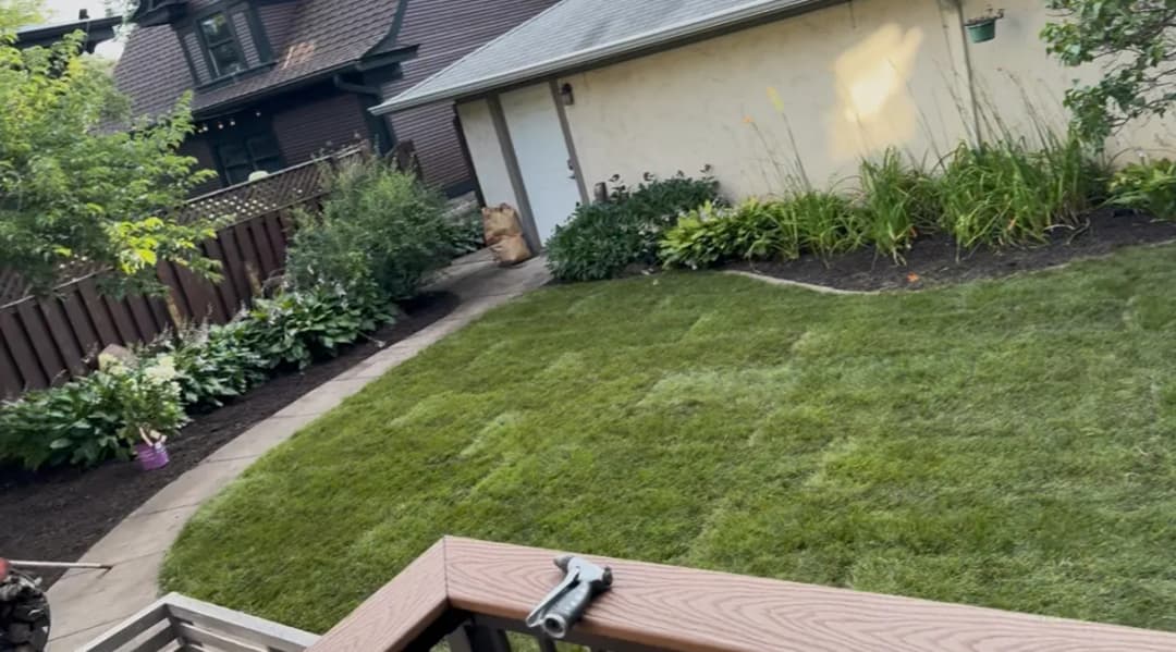 Lush backyard with freshly mowed lawn, bordered by flower beds and greenery.