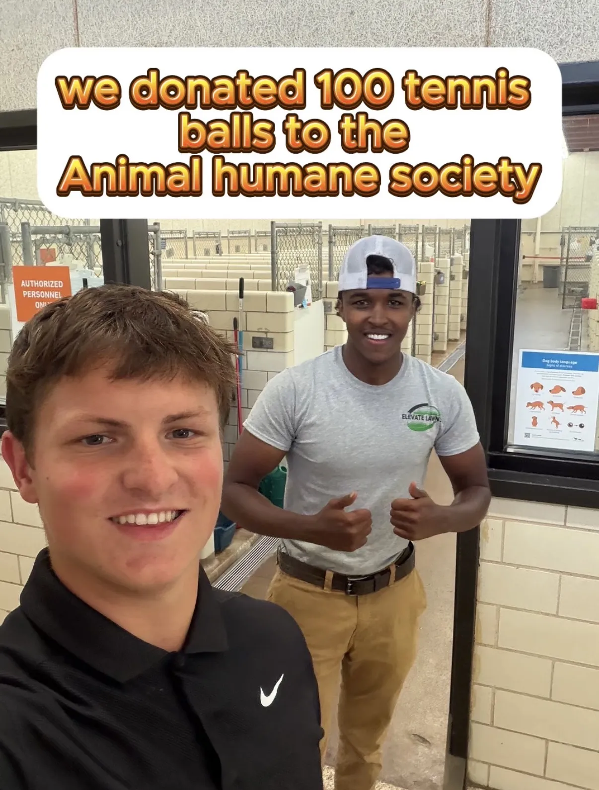 Blog post 100 Tennis Balls for the Animal Humane Society 🎾🐾 image