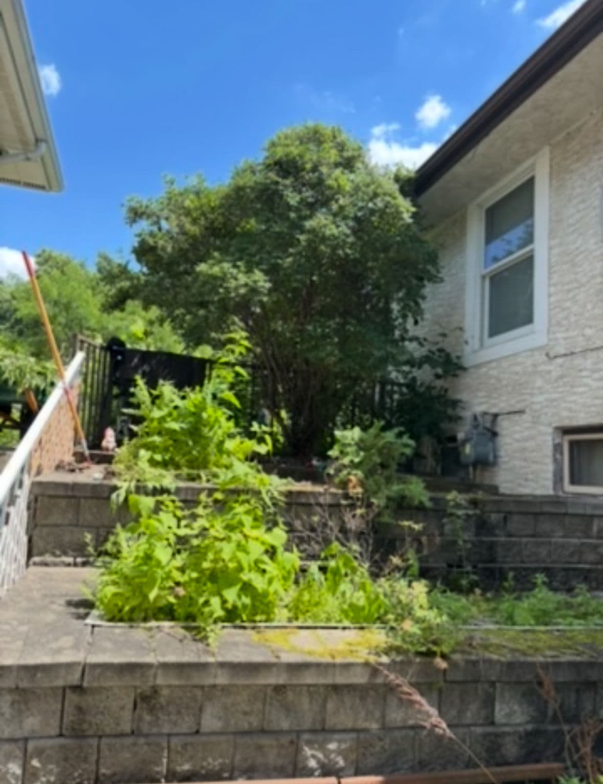 Revamping Retaining Walls and Shrub Cleanup image