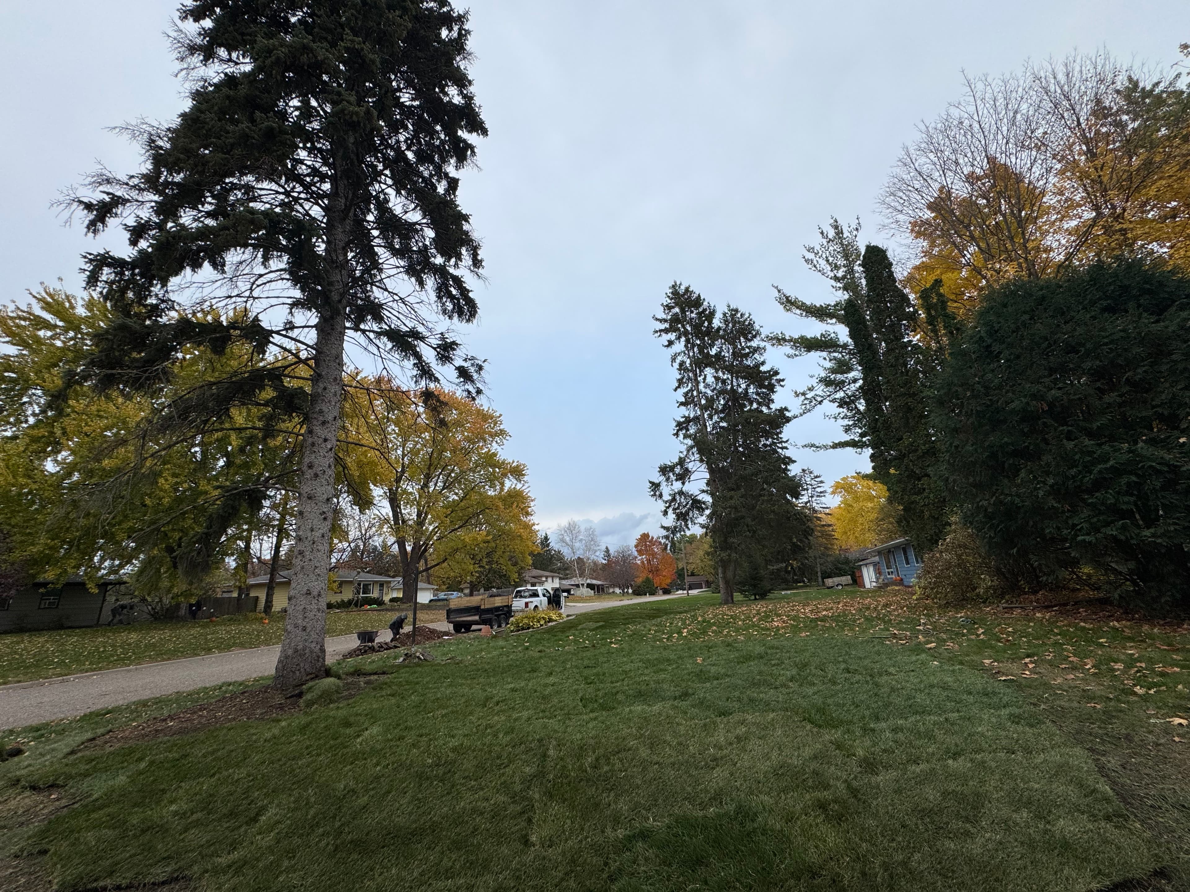 Project Fall Yard Transformation with Elevate Lawns image