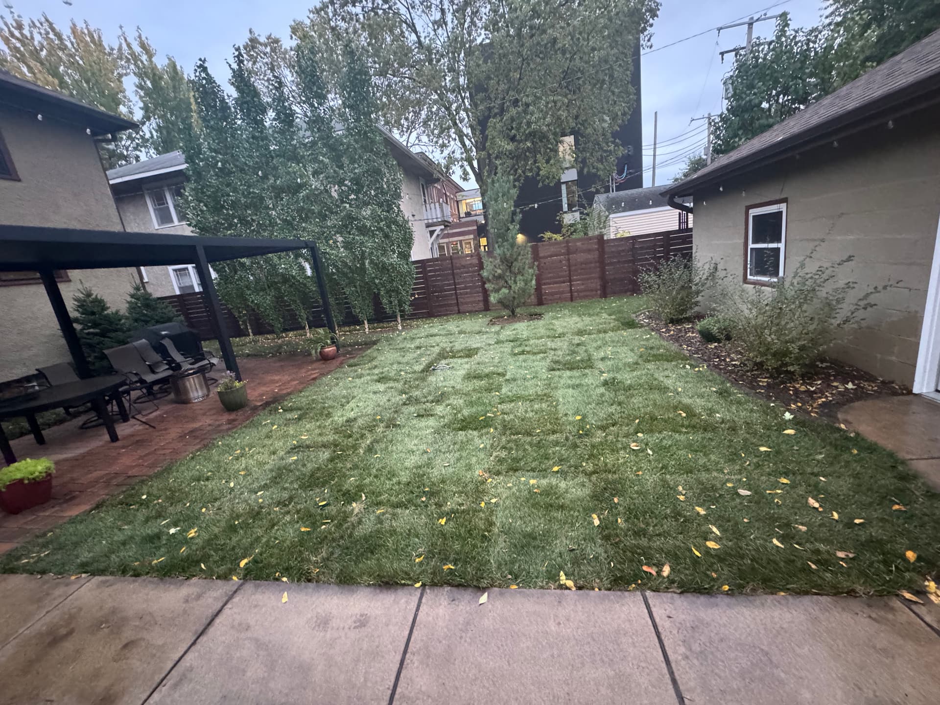 Snowy Yard Transformed into Lush Lawn in Minneapolis
