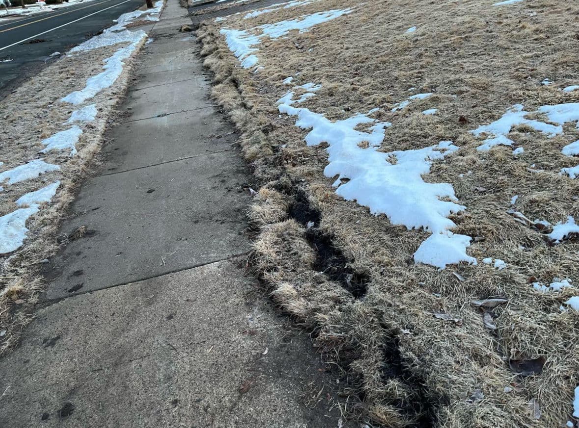 From Patchy Lawns to Lush Green Spaces