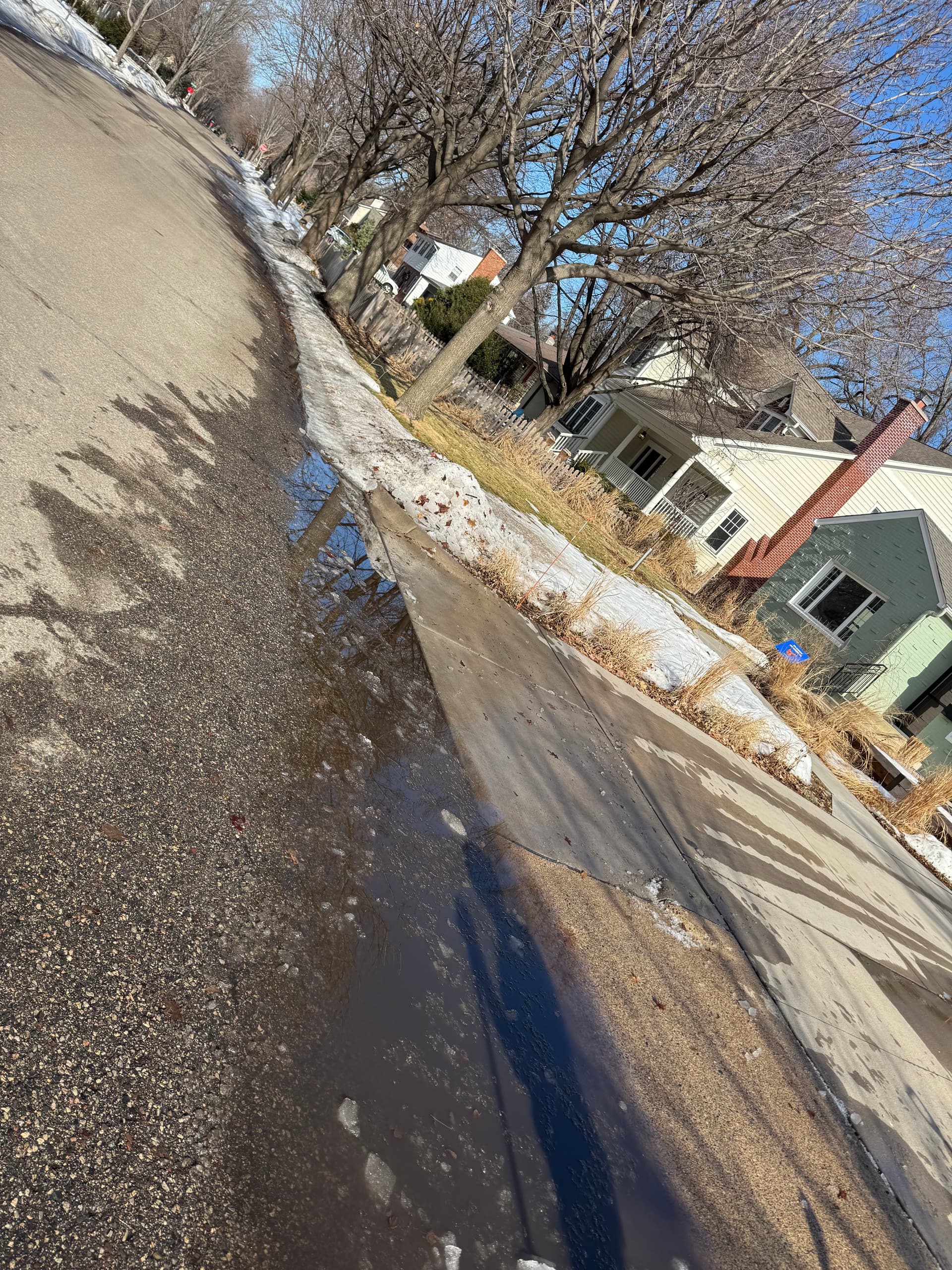 Gallery photos for Getting Ready for Spring with Our Expert Lawn Care Service: Image #1