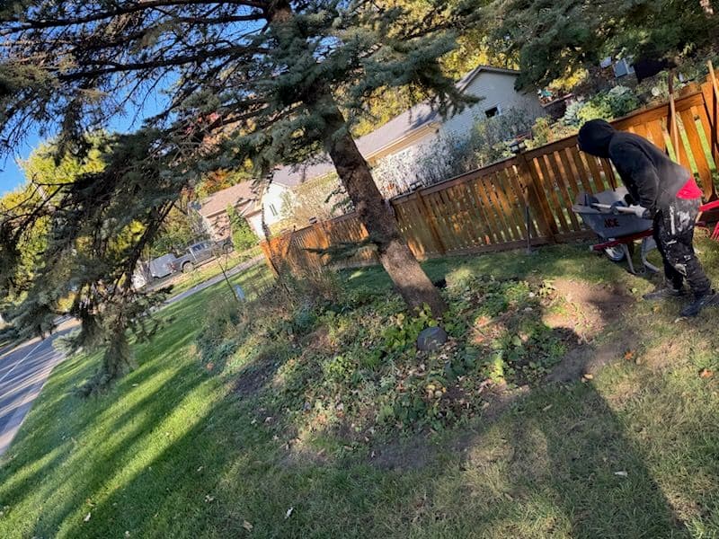 Beautiful Yard Enhancement in St. Paul