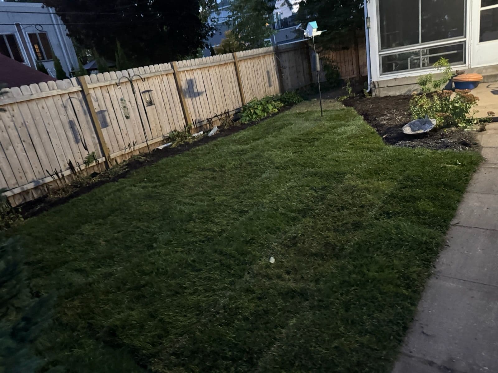 Project Fresh Sod Installation Transforms Backyard image