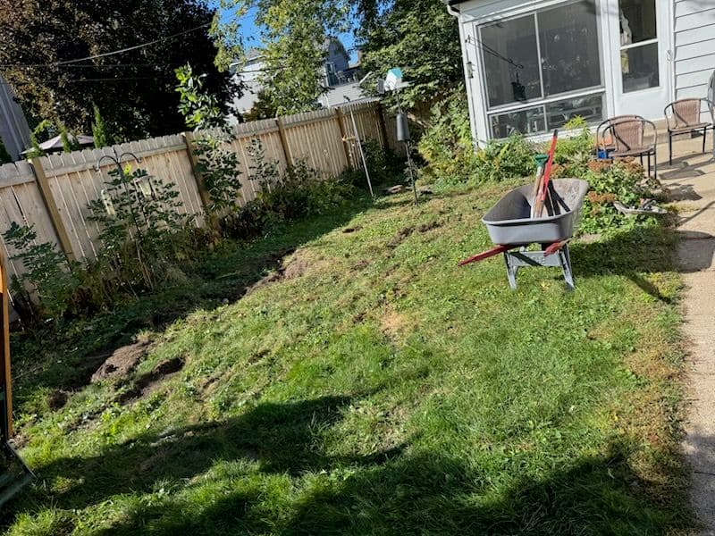 Gallery photos for Fresh Sod Installation Transforms Backyard: Image #1