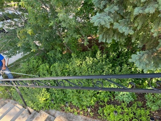 Beautiful Garden Makeover in Linden Hills