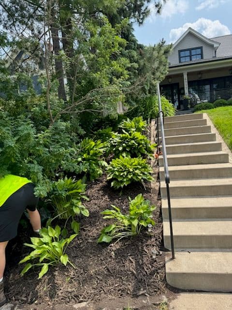 Beautiful Garden Makeover in Linden Hills