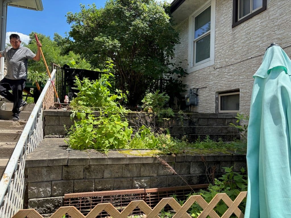 Transformative Garden Makeover with Elevate Lawns image