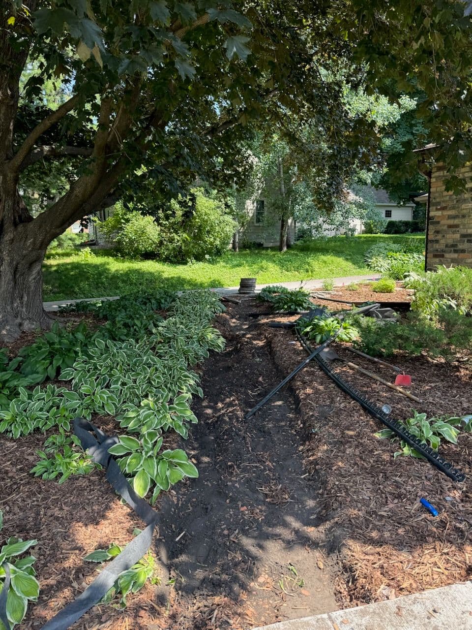 Thriving Landscapes with Custom Walkways image