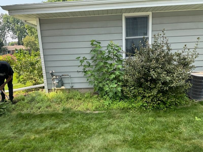 Gallery photos for Upgrade Your Garden with Custom Mulch Solutions: Image #1