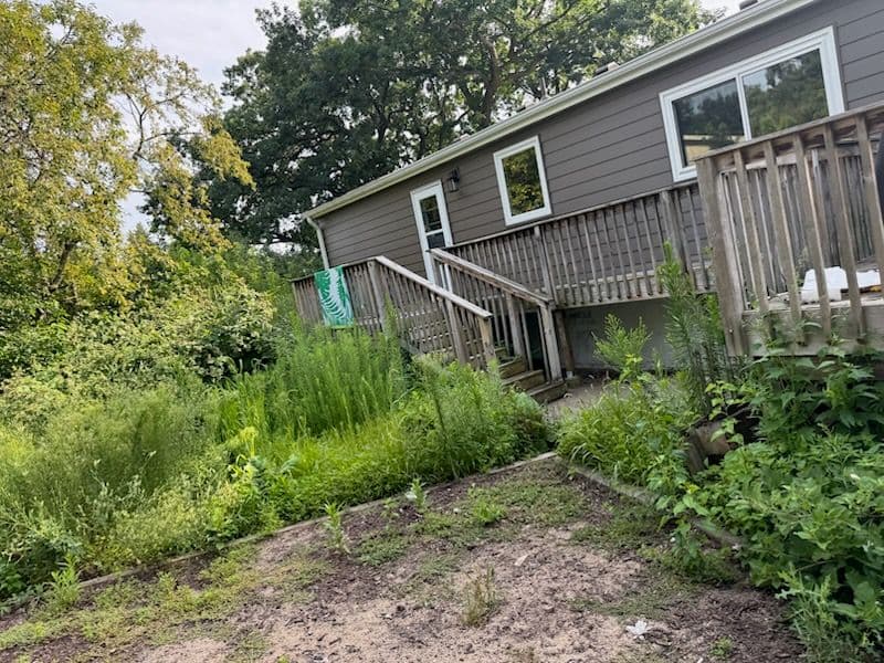 Golden Valley Lawn Transformation Showcase image
