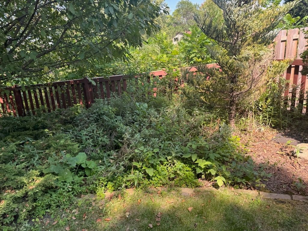 Garden Transformation with Cypress Mulch Magic