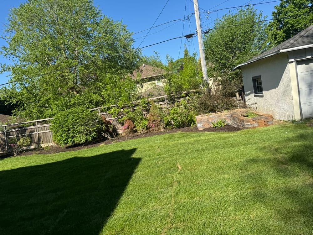 Lush green backyard with landscaped garden beds and clear blue sky.