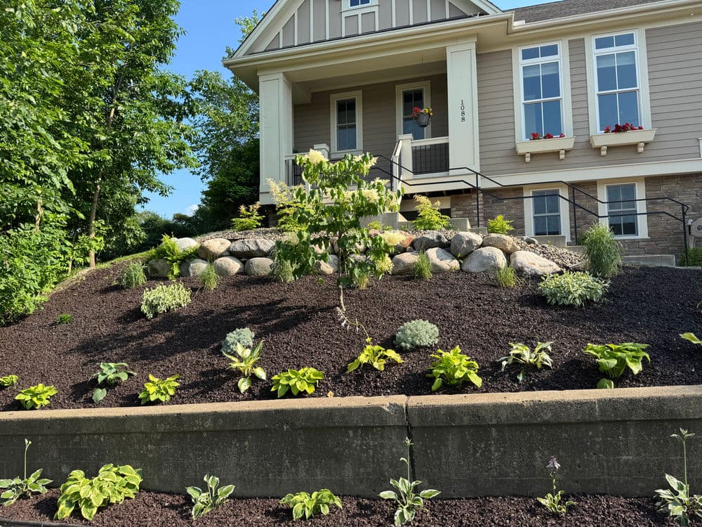 Lush front yard landscaping with diverse plants and a stone garden near a modern home.
