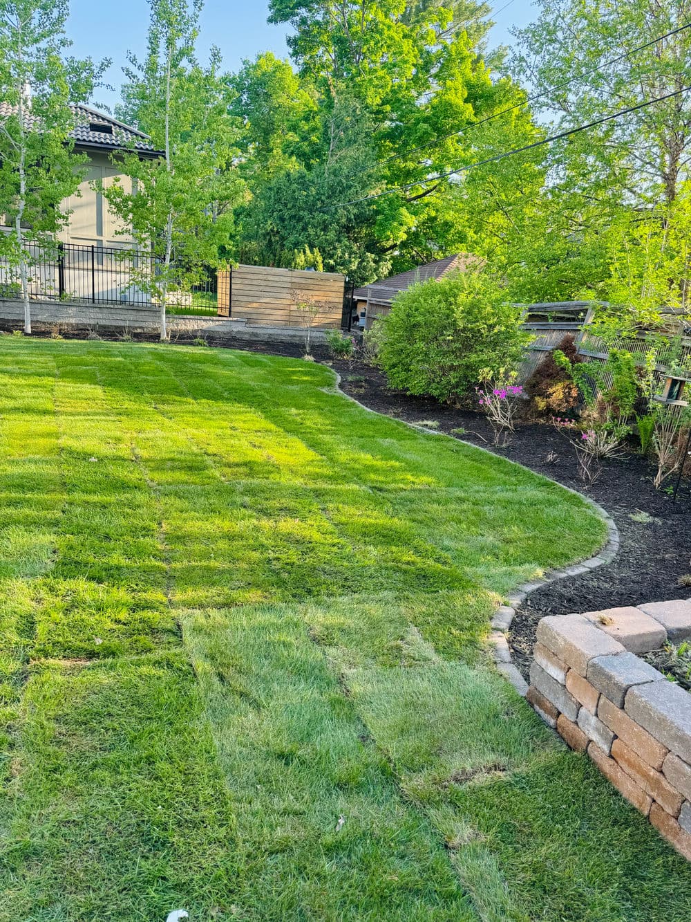 Lush green lawn with curved pathway and bordered flower beds in a landscaped backyard.