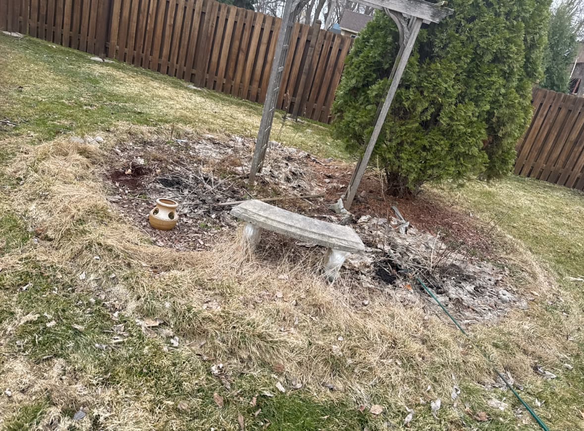 From Overgrown Mess to Clean Backyard Garden Bed image