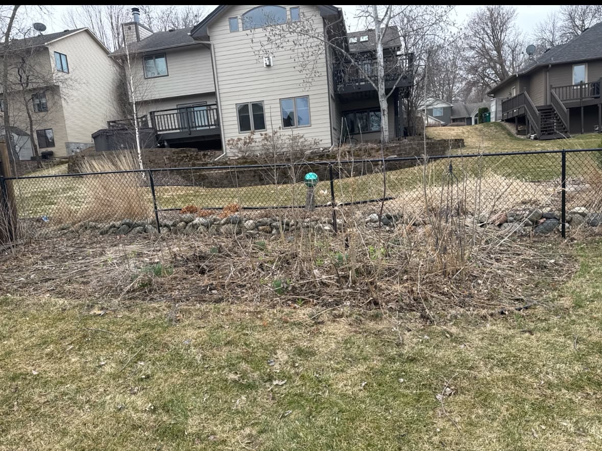 From Overgrown Mess to Lush Green Backyard Lawn image