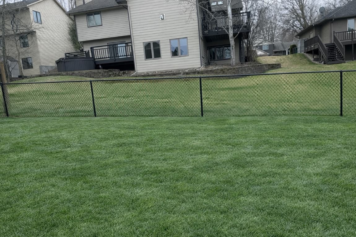 Gallery photos for From Overgrown Mess to Lush Green Backyard Lawn: Image #1